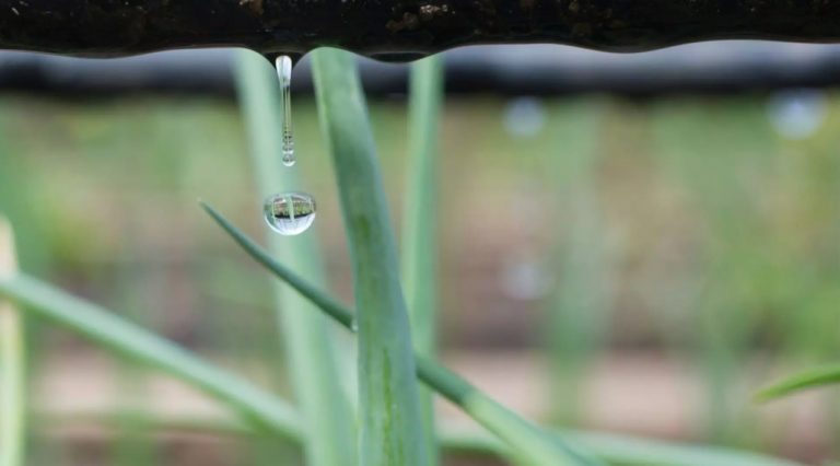 Imagem ilustrativa de uma gota d'água para conscientizar as pessoas acerca do uso da água na agropecuária